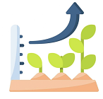 Growth